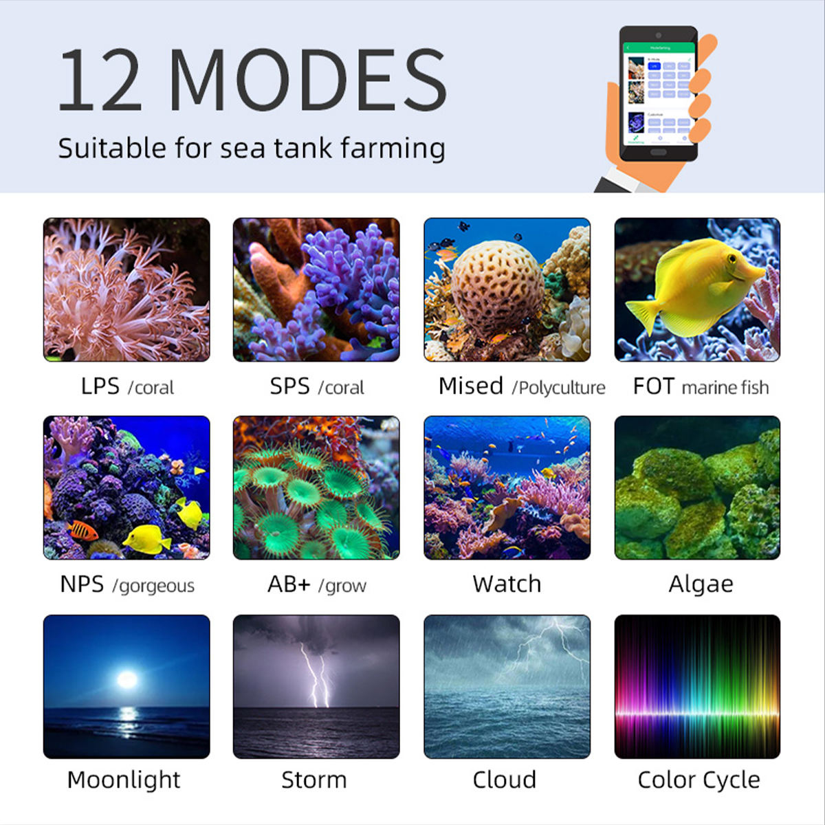 T95 Sea 50W フルスペクトラムマリンコーラルLED - Marine Aquarium Timing のレビューと価格