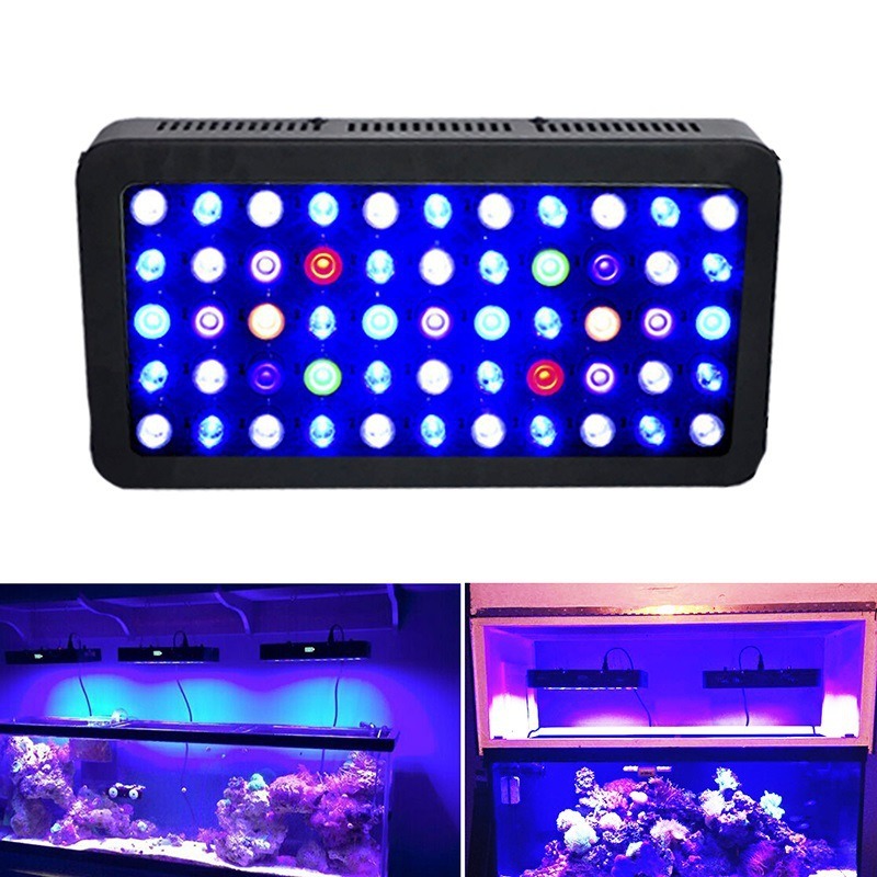 165W水槽ライト スマートWIFI調光タイマー付き 海水魚 - Marine Aquarium Timing のレビューと価格